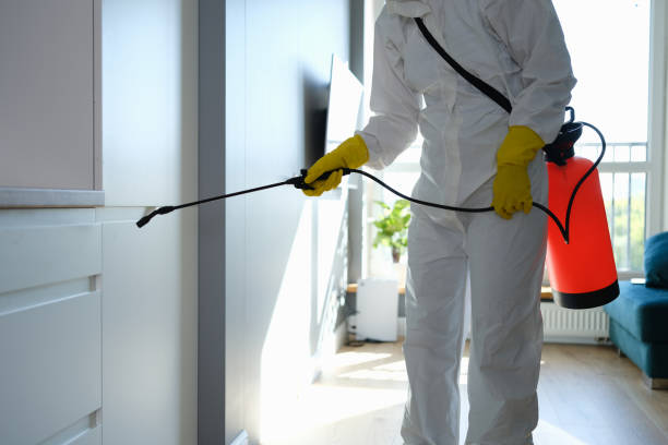 Best Mold Cleaning Services  in South Kensington, MD